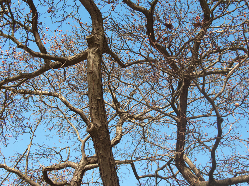 Aufrichten durch lauschen